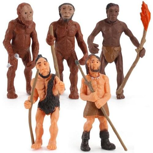 5pcs/Set Human Evolutionary History Displays Figures Models Australopithecus To Homo sapiens Kids Educational Toys Gifts