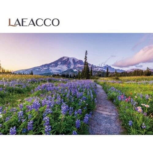 Laeacco Spring Purple Lavender Flower Garden Snow Mountain Scenic Photo Backdrop Photography Background Photophone Photo Studio
