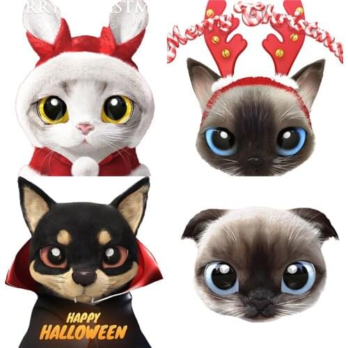 Three Ratels QC522 Cute kitten wall stickers for kids home decoration living room car hood sticker laptop decal