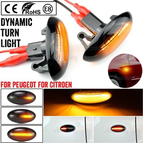 2X Dynamic Flashing Led Side Marker Turn Signal Light For Peugeot 307 206 607 407 1007 107 4007 Partner Expert Indicator Lamp