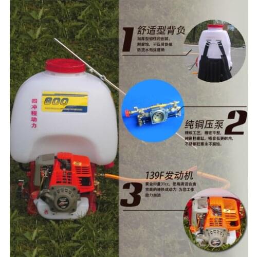 25L Petrol Power Sprayer Spray Bottle Backpack Knapsack Chemical Weed Killer