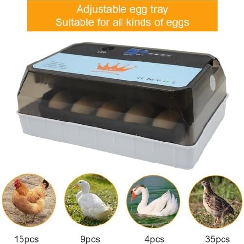 Mini New 15 eggs incubator for Chicken Goose Bird Quail Automatic Incubation Equipment Hatchery Incubation Tools