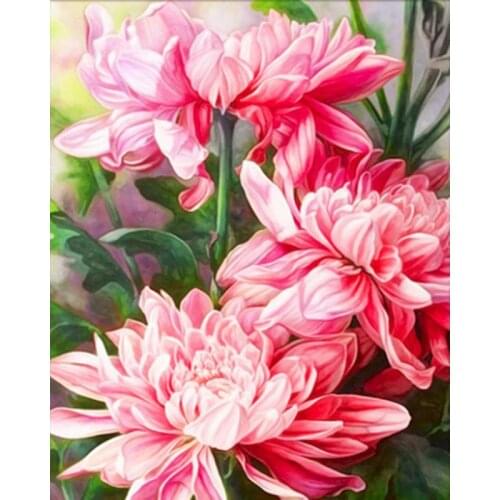GATYZTORY Frame Peony Frame Diy Painting By Numbers Flower Canvas Drawing Handpainted Kits Gift Decor Wall 60×75cm