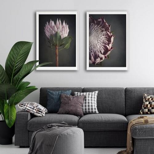 Protea Art Print Flowers Poster Plant Nordic Canvas Painting Photography Wall Art Pictures For Living Room Modern Home Decor