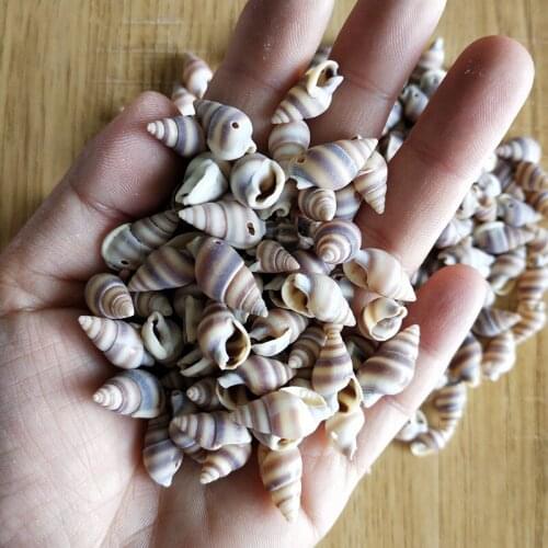 200Pcs Natural Seashell Sea Shells Beads with Hole Cowrie Beach Conch DIY Crafts conch hole for jewelry