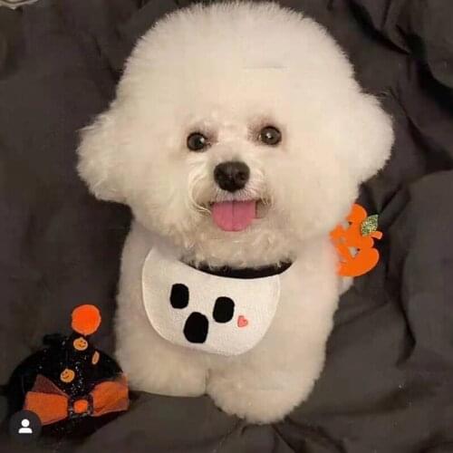 Halloween Style Pet Bib Cotton Dog Saliva Towel Orange White Pumpkin Bib Cute Cartoon Cat Triangle Scarf Bib Pet Supplies 2021