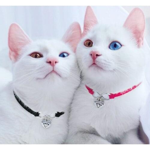 Adjustable Velvet Dog Collars Pet Collars Lucky 8 Heart Charm Necklace Collar for Little Dogs Cat Collars Pet Supplies Hot Sale