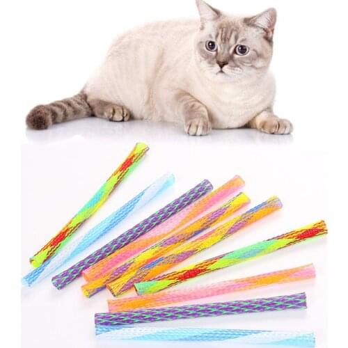 10 Pcs Pet Cat Spring Interactive Toys Durable Gauge Plastic Kitten Chewing Playing Toy