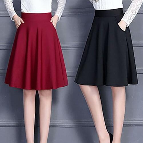 2019 autumn and winter new womens skirt pleated skirt half-length long paragraph a word skirt female skirt dance skirt