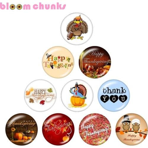 Turkey Thanksgiving 10pcs mixed 12mm/18mm/20mm/25mm Round photo glass cabochon jewelry flat back Making findings S2318