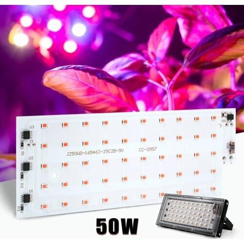 Parkson Professional Lighting