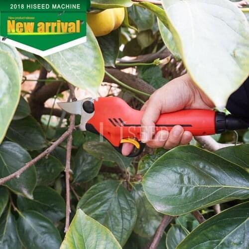 Orchard and garden pruner power scissors (forged blade)