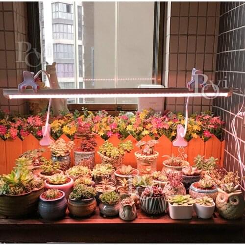 Лампы для растений POVI China At AliExpress