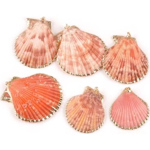 5pcs Gold Plated nautical SeaShells Natural sector shells for Home decoration DIY earring pendant charms Accessories TR0298