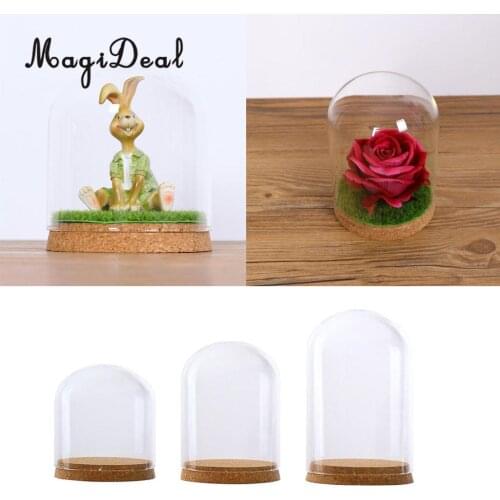Tabletop Glass Dome Cover Shade Shield Cloche Bell Jar Landscape Miniature Terrariums with Wood Cork Dry Flower Vase