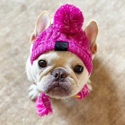Pet Hat Winter Hat For Dogs Puppy Products Small Dog Cat Warm Pet Headgear Pug French Bulldog Akita Pet Knitting Hat Windproof