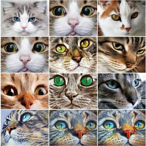 EverShine Diamond Painting Set Animal Diamond Mosaic Cat 5D DIY New Arrival Picture Rhinestones Art Beaded Needlework Child Gift