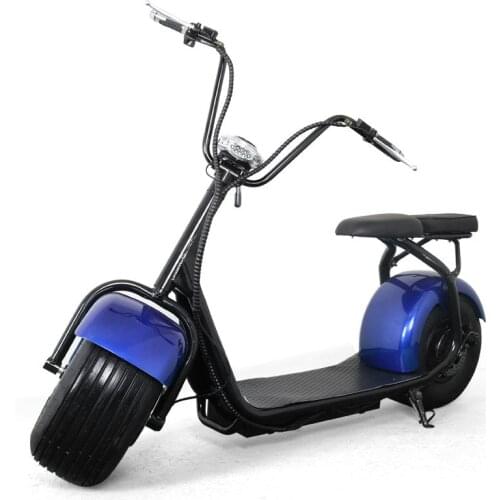 Sea Free Shipping Citycoco Electric Skateboard with Removable Battery Motorcycle Electric Vehicles for Adults