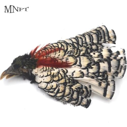 MNFT Lady Amherst Head Pheasant Salmon Fly Tying Feathers Color White&Black