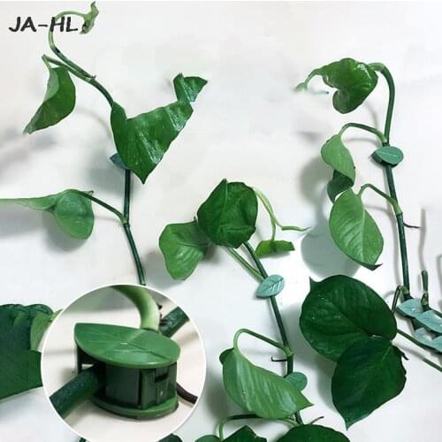 Plant Climbing Artifacts Fixing Clip 10PCS Leaf Shape Self-Adhesive Invisible Garden Hook Support for Climbing Plants
