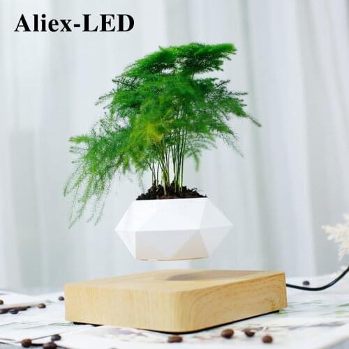 Novelty Levitating Pot Rotation Air Bonsai Planters Magnetic Levitation Flower Floating Potted Plant for Desk Decor Gift