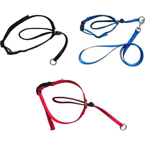 Dog Collar Pet Headcollar Gentle Control Training Collars No-Pull Painless Head Leash Dog Accessories