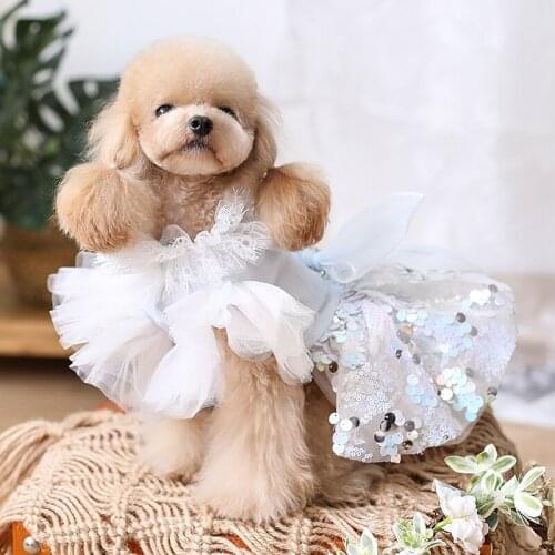 Free Shipping Handmade Dog Clothes Princess Dress Dreamy Light Blue Tulle Lace Chameleon Sequin Skirt More Layers Yorkie Poodle