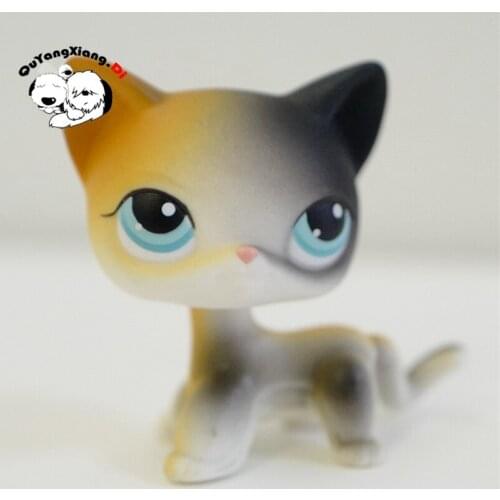 CWM080 Pet Shop Animal Black and white yellow gradient kitten doll action Figure