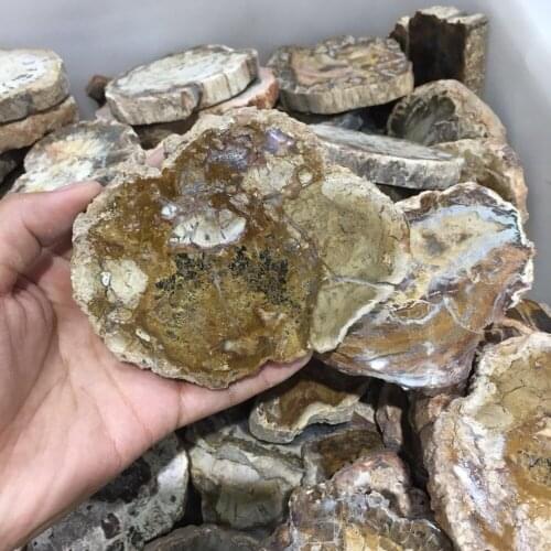 Natural mineral woodenstone Crystal gemstone disk reiki healing chakra fossil Madagascar crystal coaster home decoration