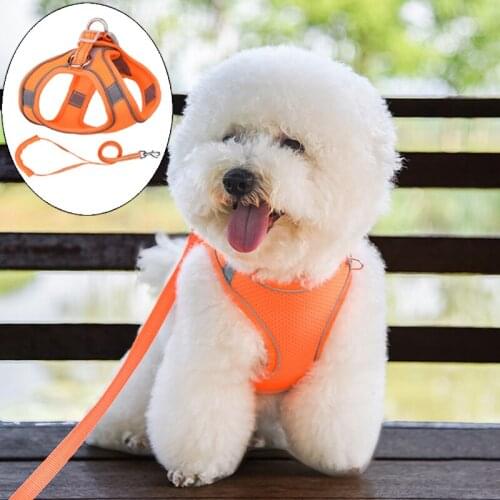Mesh Breathable Pet Dog Harness and Leash Set for Small Medium Dogs Reflective Puppy Cat Accessories Yorkshire Maltese Harnesses
