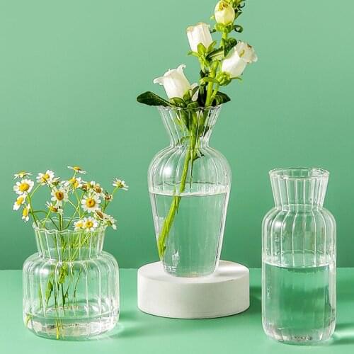 Glass Vase for Living Room Decor Decorative Water Hydroponics Table Ornaments Flowers Arrangement