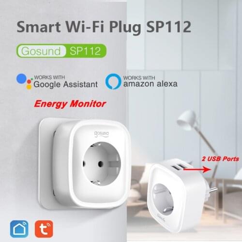 Gosund 16A Smart Socket With 2 USB Ports Wi-Fi Sockets With Surge Protection Remote Control Power Timer Function No Hub Require