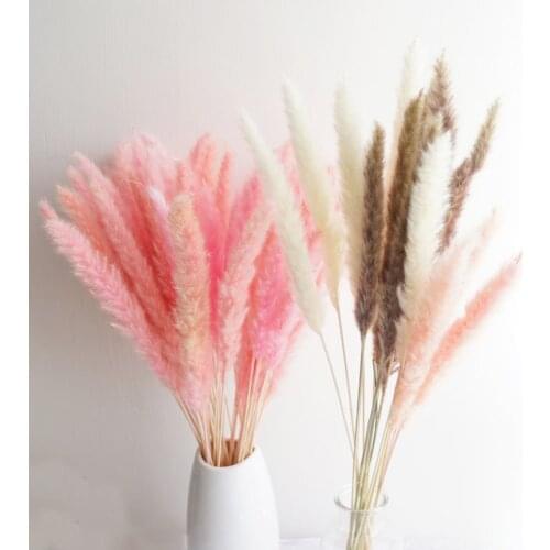 20pcs 3 color available raw&pink&white color small pampas grass Phragmites&reed flowers&bulrush flowers for wedding decor