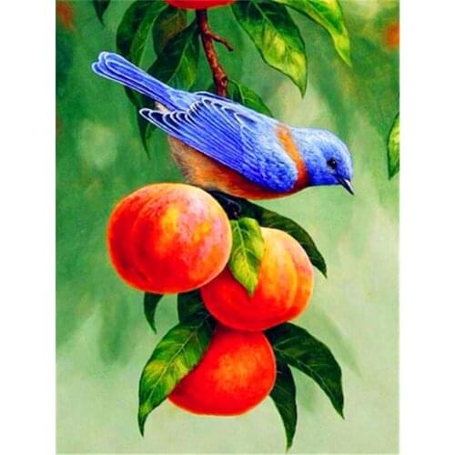 5D Diamond Art Painting Kits Animal Bird Diamond Embroidery Sale Fruit Apple Pictures of Rhinestones Mosaic Home Decor