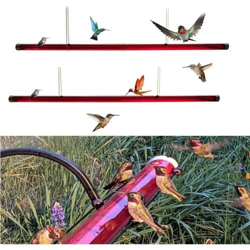 Creative Hummingbird Feeder with Hole Birds Feeding for Outdoor Garden Hanging Birds Feeder Easy Feeding Food for Birds Supplies