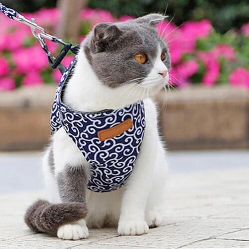 Pet Dog Cat Harness Vest Collar Outdoor Walking Leash Set Harness Small Dog Harness and Leash Set Pet Cat Vest for Outdoor