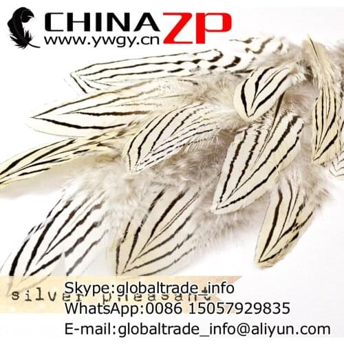Exporting from CHINAZP Factory 2000pcs/lot 8~10cm Length Top Quality Natural Silver Pheasant Plumage Feathers