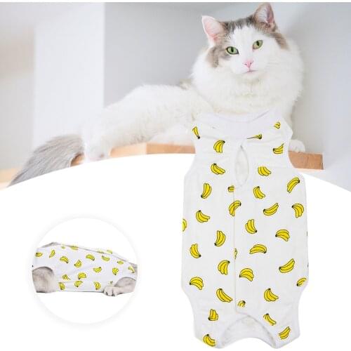New Autumn And Winter Pet Clothes Pet Kitten Clothes Four Leg Pants Cat Sterilization Suit Pet Physiological Pants Clothing