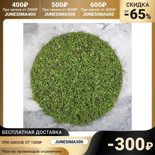 Greengo Artificial Plants