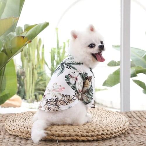 Hawaiian Shirt For Dogs Pineapple Clothes Spitz Puppy Summer Small Blouse Corgi Clothes Pet York Beach Shirt Cat Luxury Costumes