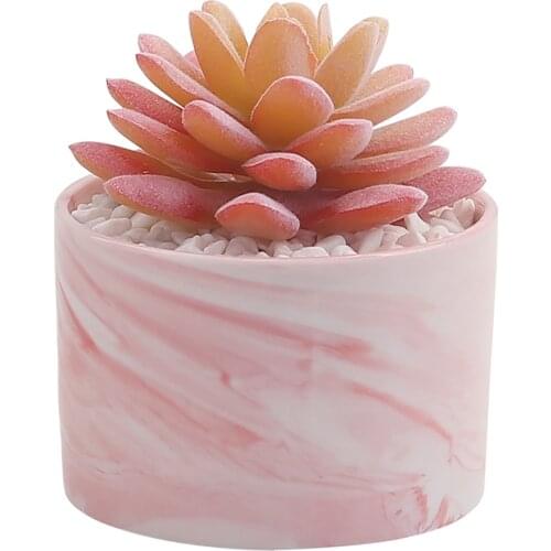 Mini Marbling Simulation Plant Flower Potted Succulent Ceramic Creative Tabletop Home Decorations Garden Living Room Party Favor