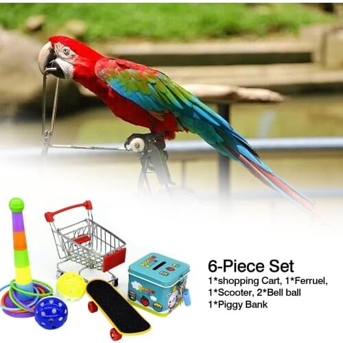 Parrot Bird Toy Set Parrot Training Toy Ring Skateboard Cart Ball Bite Training Interactive Equipment Bite Training Toy