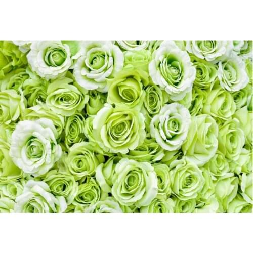 Flower Backdrop Beauty Green Roses Party Photography Background Holiday Celebration Photo Booth Studio Decor