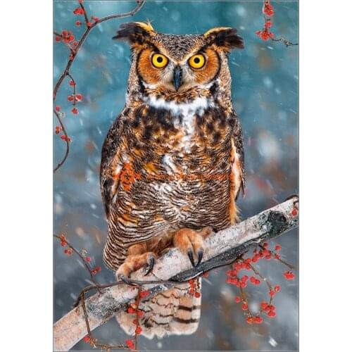 Embroidery Counted Cross Stitch Kits Needlework - Crafts 14 ct DMC color DIY Arts Handmade Decor - Great Horned Owl