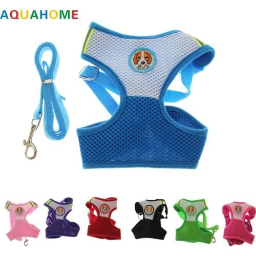 AQUAHOME Collars, Harnesses And Leashes