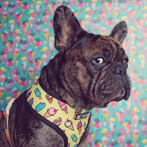 French Bulldog Harness Printed English Bulldog Frenchie Reversible Harness Puppy Small Dogs Vest for Pug Walking Training