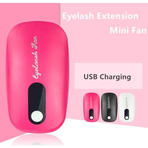 Portable Mini Eyelash Extension Hair Dryer Mini Electric Blow Dryer Small Fan Usb Blow Dryer Beauty Eyelash Auxiliary Tool