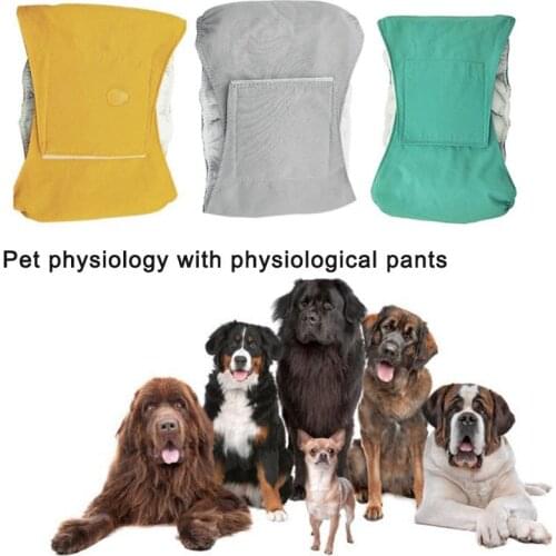 Reusable Male Pet Dog Nappy Pants Simple Menstrual Sanitary Diaper Pets Supply DropshipDog Supplies Pet Products Home & Garden