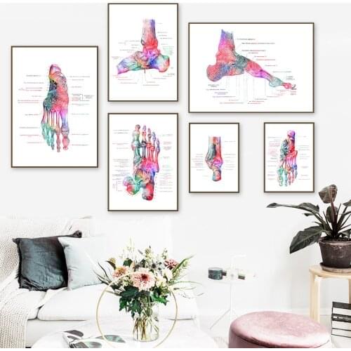 Colorful Anatomy Medicine Foot Wall Art Canvas Painting Nordic Posters And Prints Abstract Wall Pictures For Living Room Decor