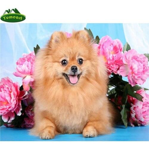 Full Diy Diamond Painting By Number Cross Stitch Pomeranian Dog Flowers,5D Diamond Mosaic Gift Rhinestones Embroidery Mosaic Kit